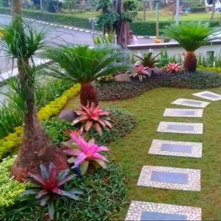 Tukang Taman Terdekat – Jasa Profesional untuk Taman Indah dan Asri